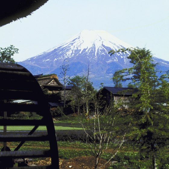 A bus tour can help you get to Japan's most-visited sites, including Mount Fuji.