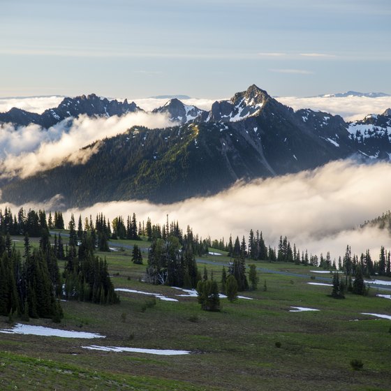 Just about any waterway in the Cascades provides opportunity to find gold.