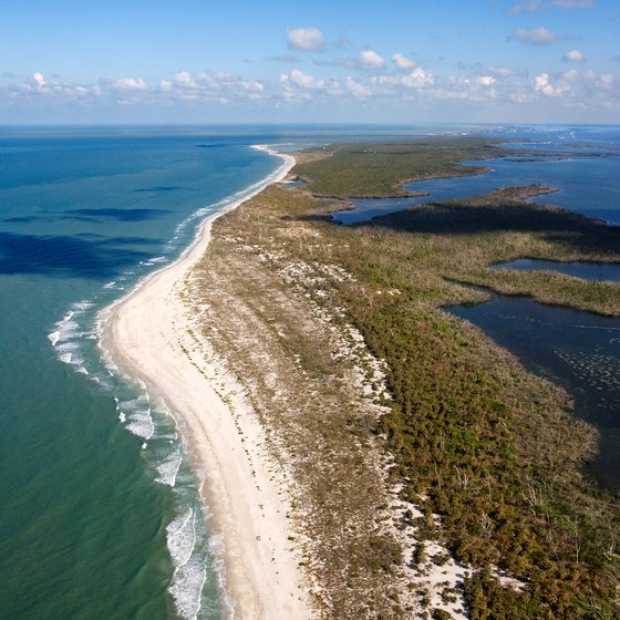 Sand and shell beaches in the Florida Keys are great wildlife-watching sites.