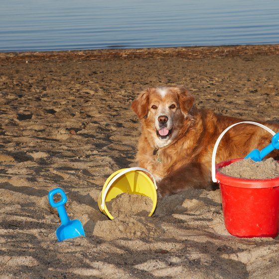 Pet Friendly Hotels In Wrightsville