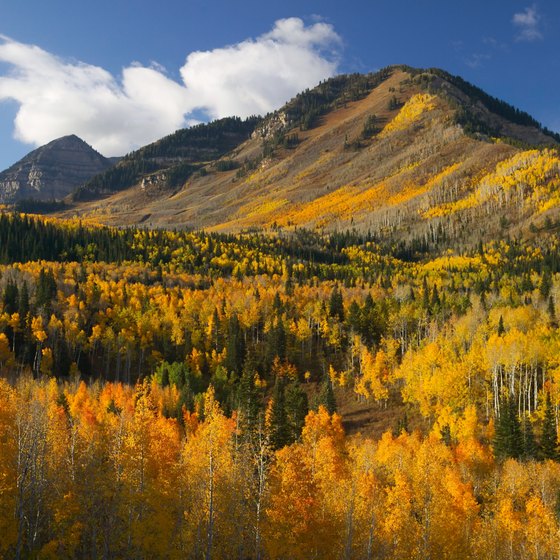 You'll see autumn colors on mountain trails near Fillmore.