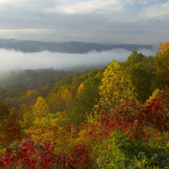 The Smoky Mountains offer some unforgettable views.