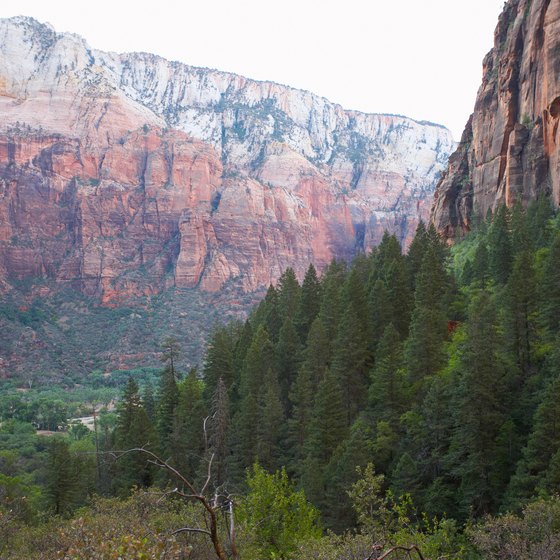 Zion National Park has several of Utah's most famous hikes.