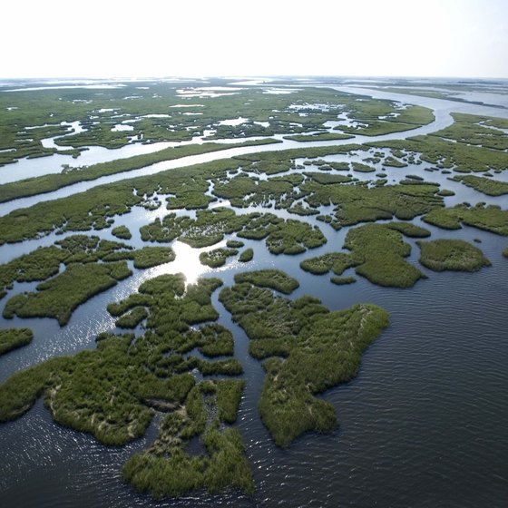 Louisiana's Top 10 Wetlands and swamps cover large tracts of Louisiana.