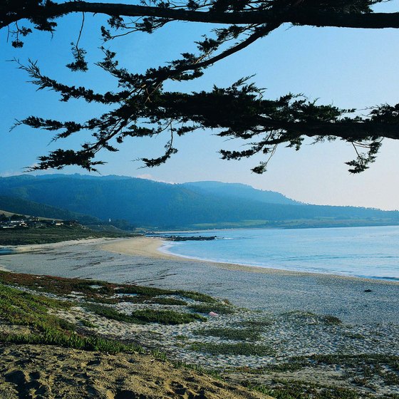 Carmel has a great beach on the Pacific Ocean.