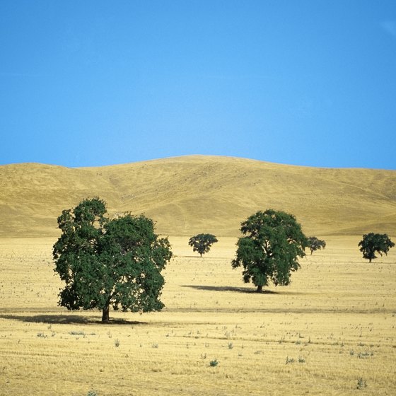 Blue skies and golden hills are the scenery outside Merced, California.