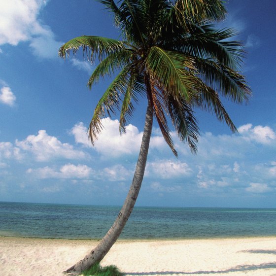 Key West is a lively beach town in the Florida Keys.