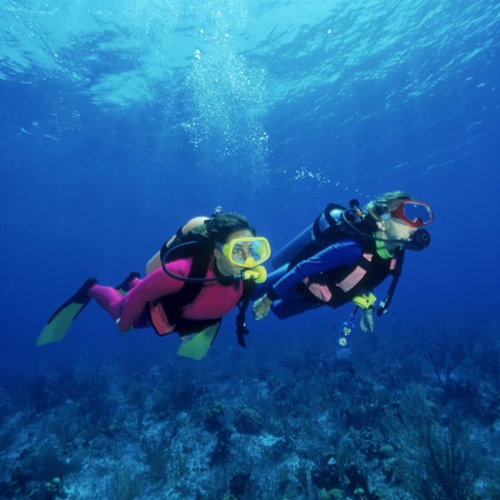 Runaway Bay, Jamaica offers diving options for both amateur and experienced divers.