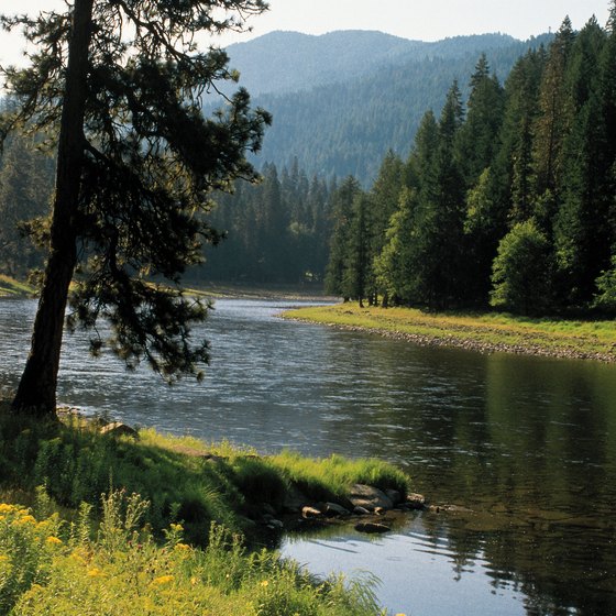 Camping is allowed in most Idaho state parks, but you must follow certain rules.