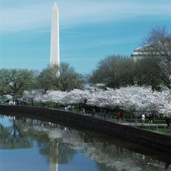 The Lincoln Memorial Reflecting Pool is located on the western side of the National Mall.