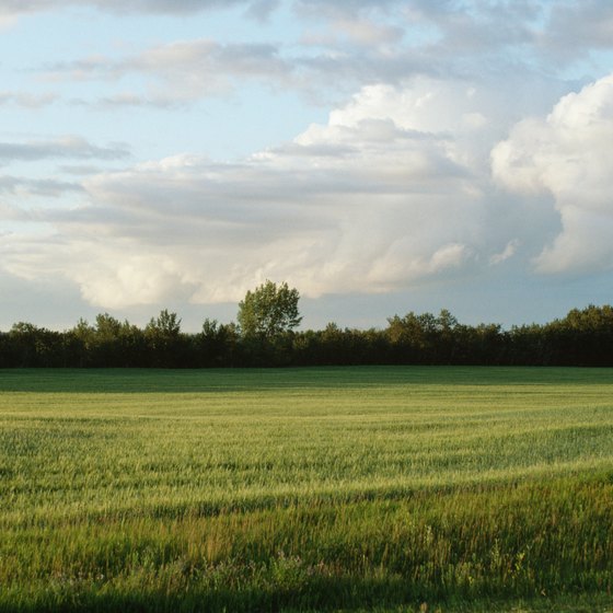 Manitoba is known for its prairie land.