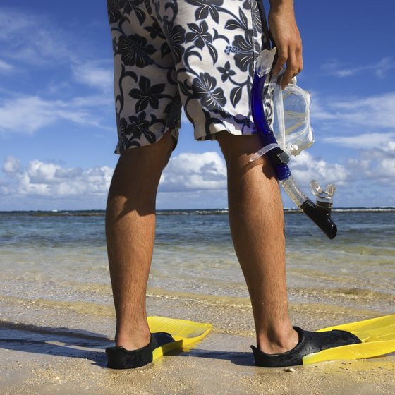 Snorkel fins help you guide yourself through the water.