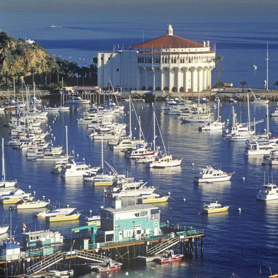 Southern California cruises offer tours of Catalina Island.