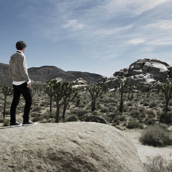 The scenic town of Idyllwild, California, lies amid the San Jacinto Mountains.