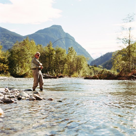 Fly fishing is a popular way to catch trout.