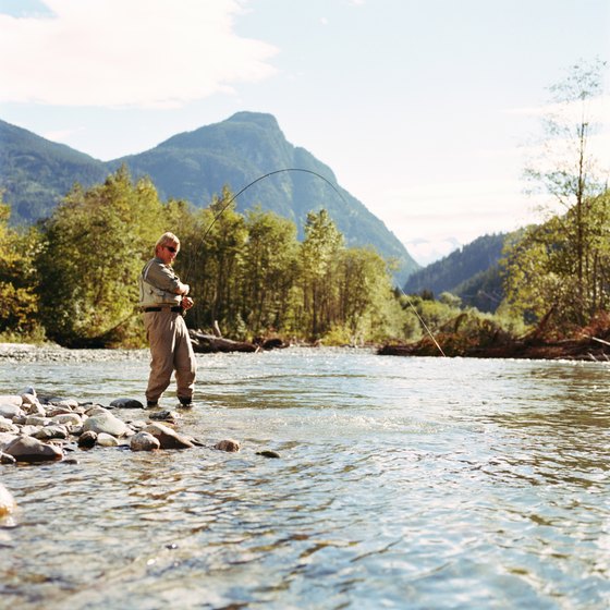 fly fishing tour estes park