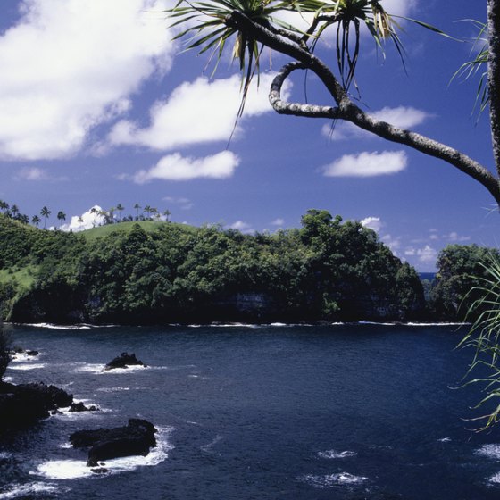 The Hamakua coast is home to a few locally known beaches.