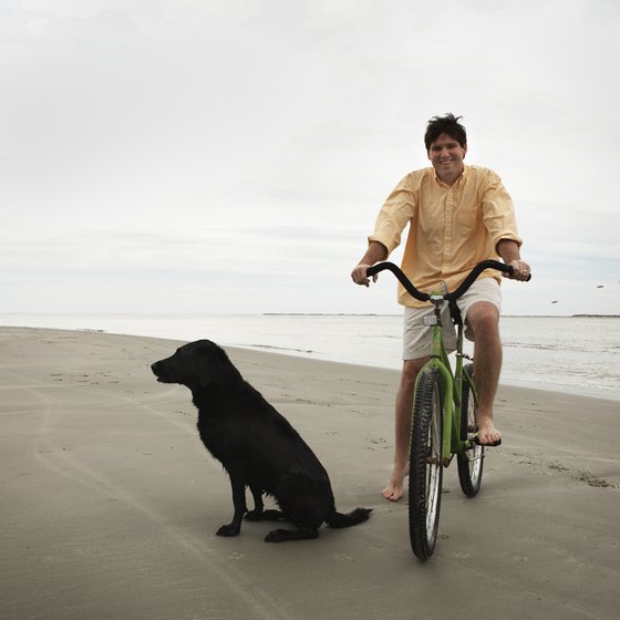 Surfside Beach allows leashed pets from September to May.