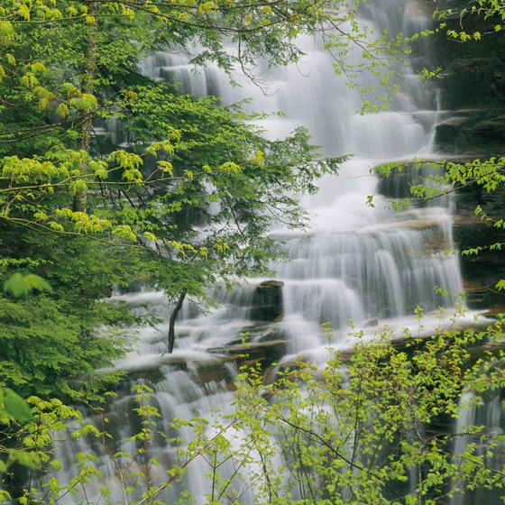 Ricketts Glen State Park is known for its wild waterfalls.