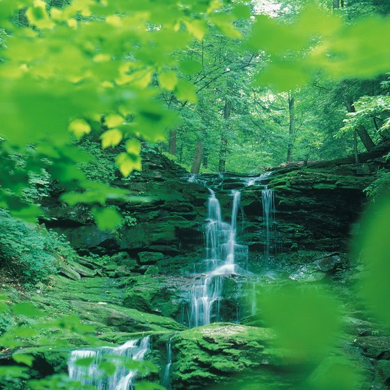 Pennsylvania waterfalls are found primarily in the state's eastern and western regions.