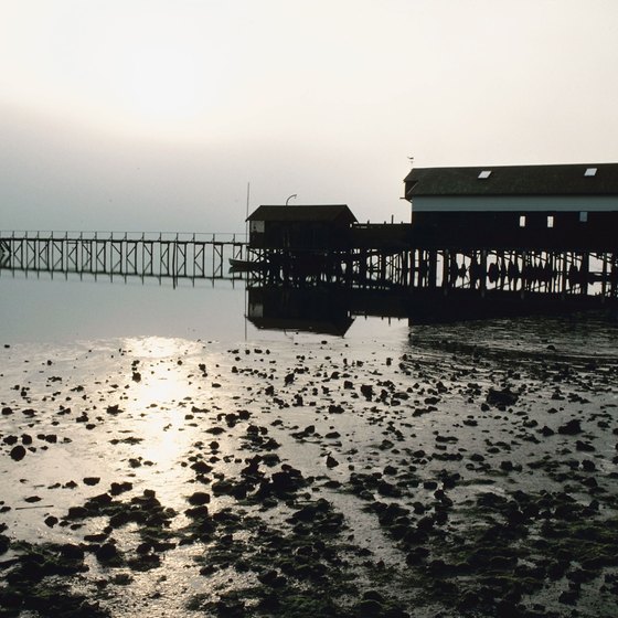 Honeymooning foodies will appreciate the locally sourced dining in Tomales Bay.