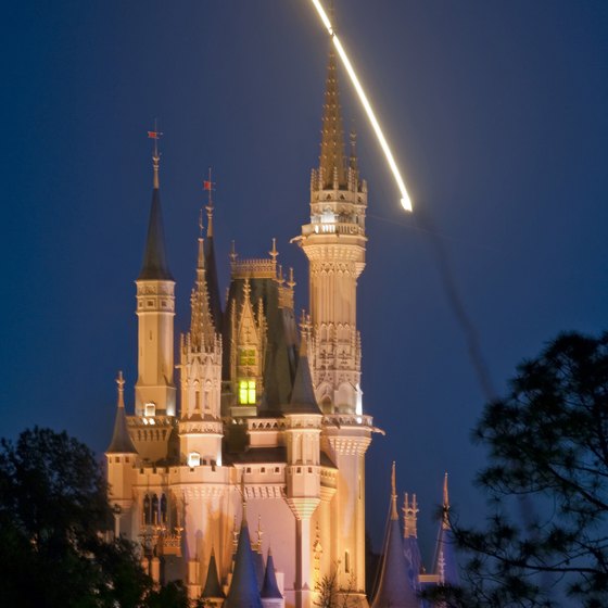 The Magic Kingdom in Disney World is a hit with kids of all ages.