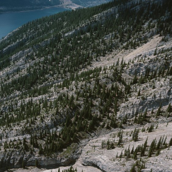 Hang gliding in Canada provides unique views of the country's varied terrain.