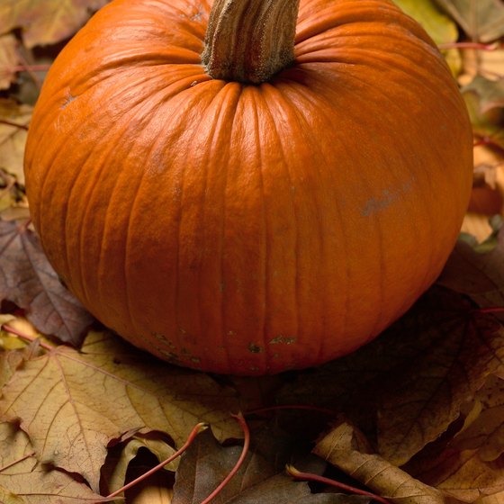 Circleville's Pumpkin Show is the 6th-largest festival in the country.