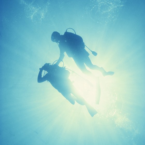 Get started with your scuba adventure inland in Sacramento.