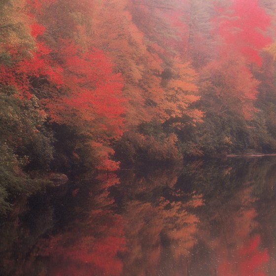 Linville Gorge is among the largest wilderness areas in North Carolina.