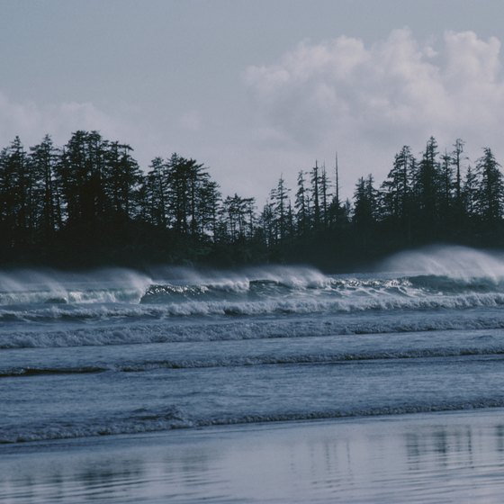 Long Beach, near Tofino, draws surfers from all over.