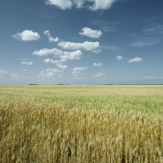 A rural landscape typical of Manitoba.