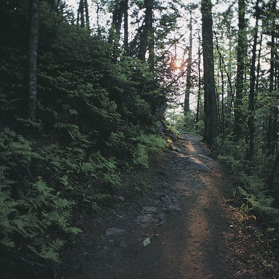 Springer Mountain is in the Chattahoochee National Forest.