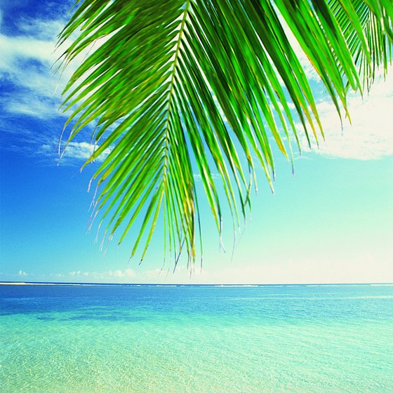 A tropical beach is a great destination for January.