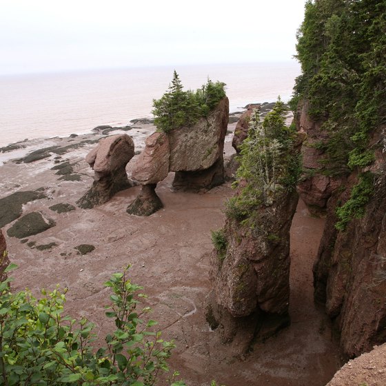 The Hopewell rock formations bear names like "ET" and "Mother-in-Law."