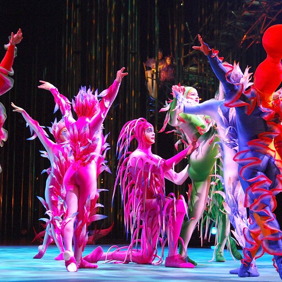 Cirque du Soleil features performance acts from around the world.