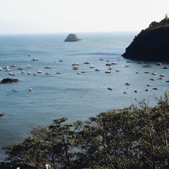 Small coves along Trinidad's beaches offer tide pools and beach walks.