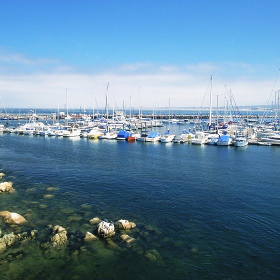 Monterey Bay attracts fishermen, sailers, scuba divers and whale-watchers.