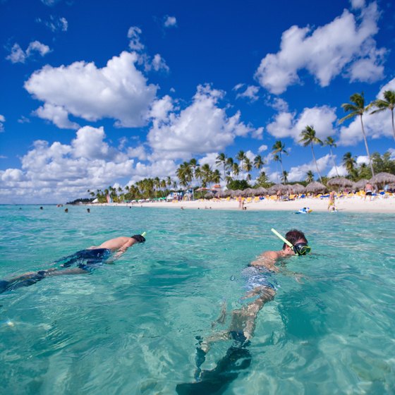 Whenever snorkeling is on an excursion itinerary, it's optional.