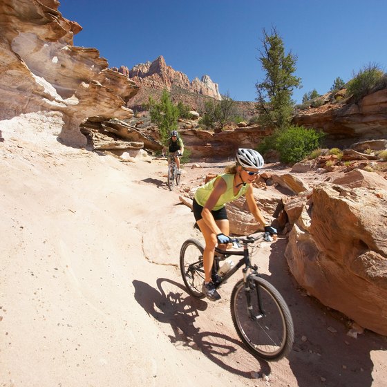 Explore America and its national parks by bike.
