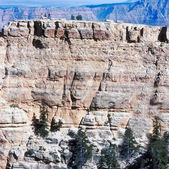 Helicopter flights over Grand Canyon give you a bird's-eye view of the spectacular area.