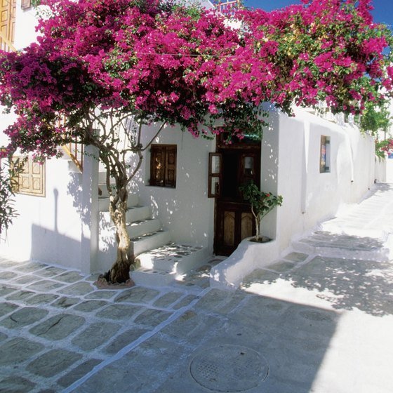 Blazing whites and bright blues dominate the color scheme of Greece, as here on Mykonos.