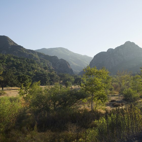 California's mountain climate varies by season.