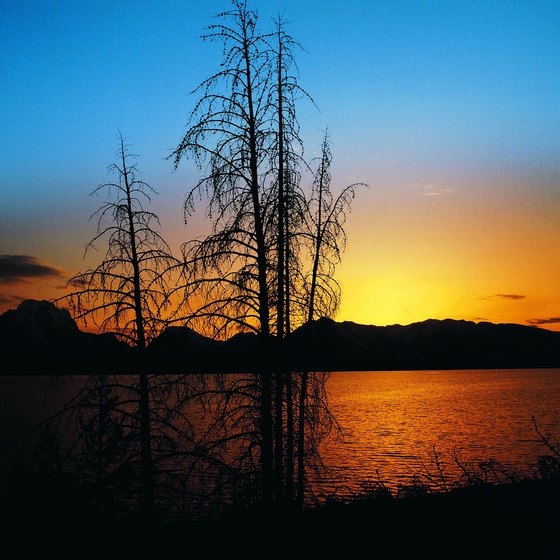 Jackson Lake at sunset