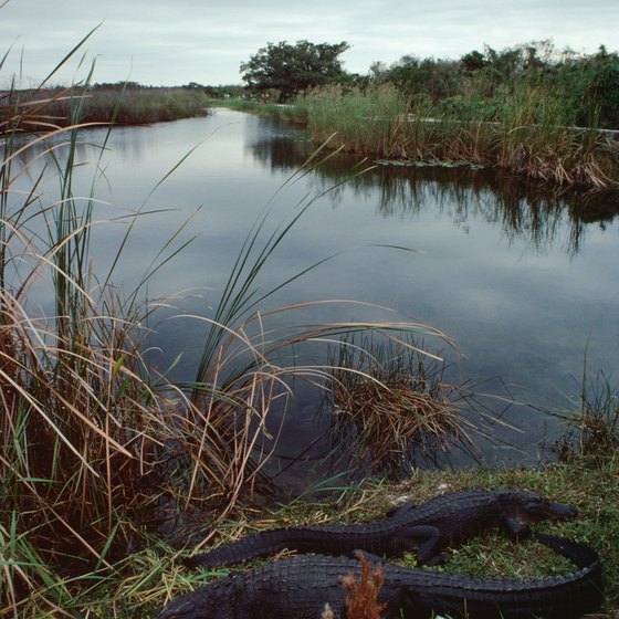 Paisley is close to the St Johns River, interesting because it flows northward.