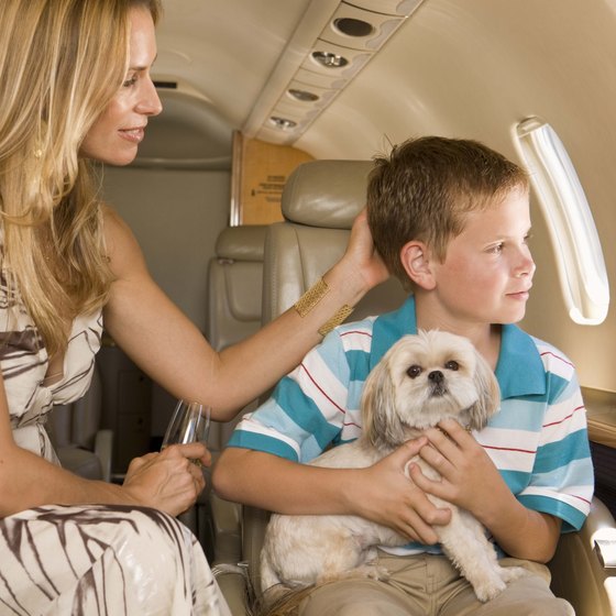 North Carolina accommodations make it easy to travel with pets.