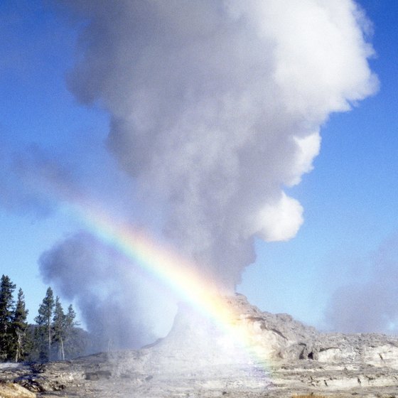 Many bus tour companies take you to see Yellowstone's Old Faithful geyser.