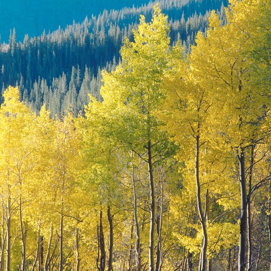 Marble, Colorado is located in an alpine setting.