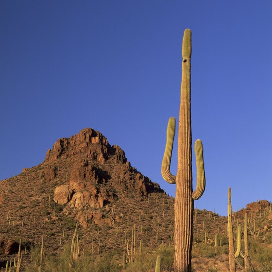 Desert trails provide both scenery and technical challenges.