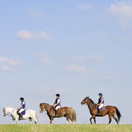 Saddle up and spend the day horseback riding in Michigan.